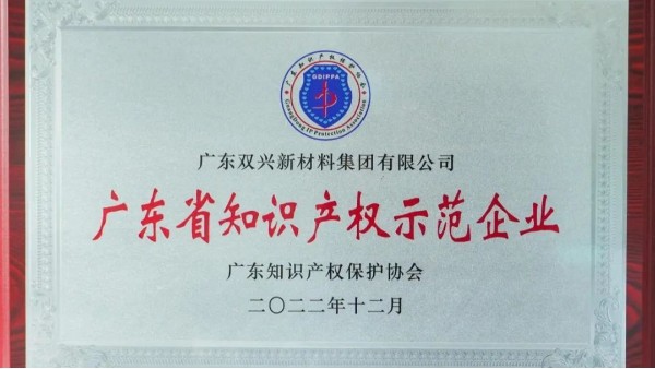 金沙贵宾3777线路荣获“知识产权示范企业”荣誉